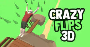 Play Crazy Flips 3D
